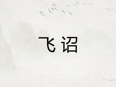 飞诏
