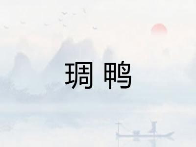 琱鸭