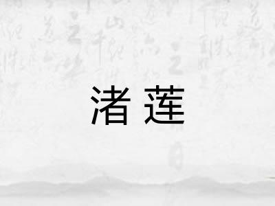 渚莲