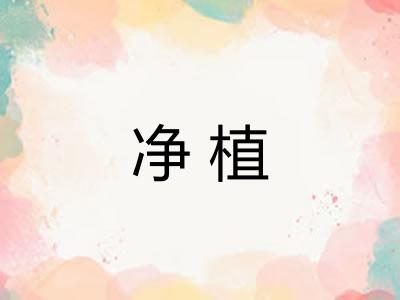 净植