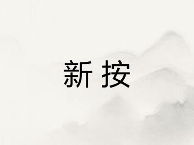 新按