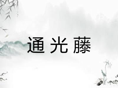 通光藤