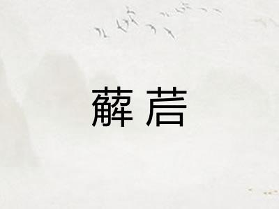 薢茩