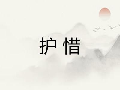 护惜