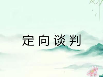 定向谈判