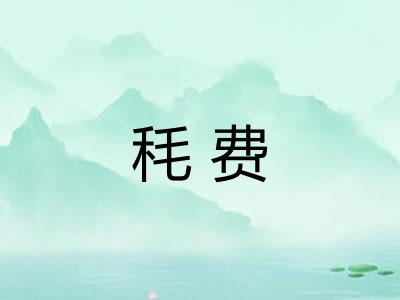 秏费