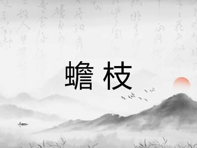 蟾枝