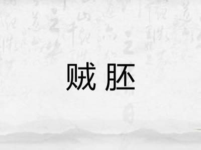 贼胚