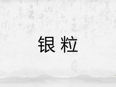 银粒