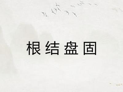 根结盘固