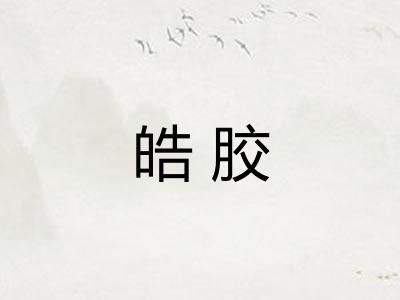 皓胶