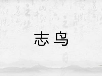 志鸟