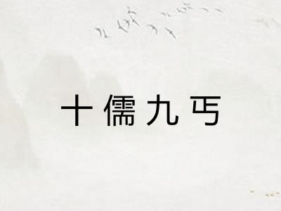 十儒九丐