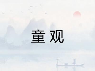 童观