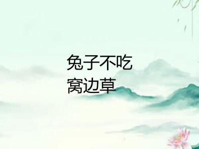 兔子不吃窝边草