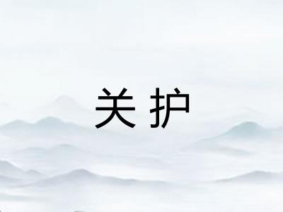 关护