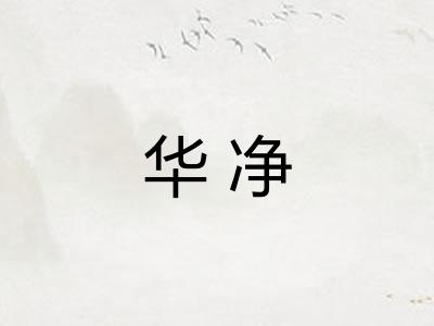 华净