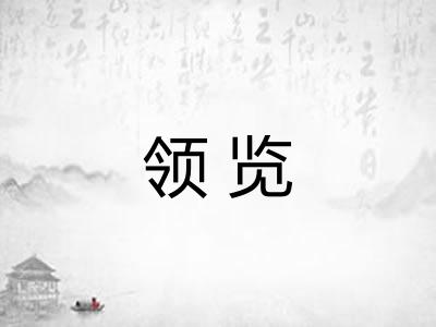 领览