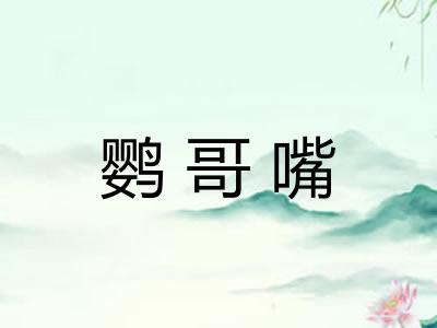 鹦哥嘴