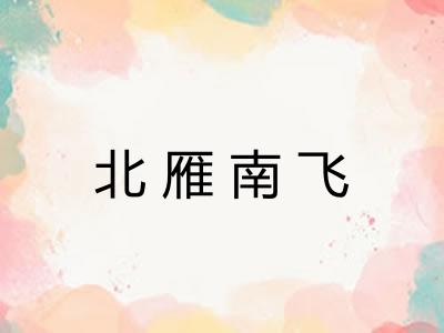 北雁南飞