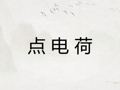 点电荷