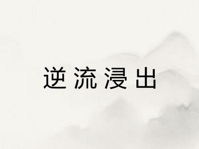 逆流浸出