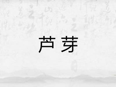 芦芽