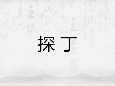 探丁