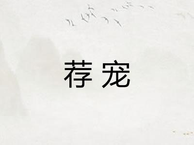 荐宠