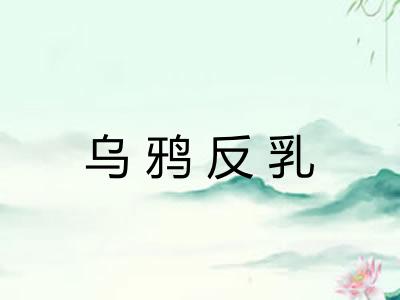 乌鸦反乳