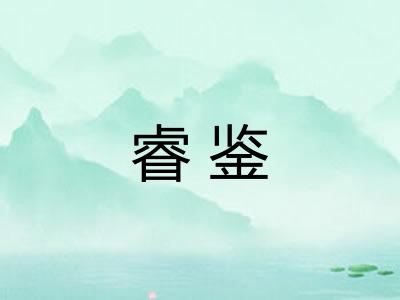 睿鉴