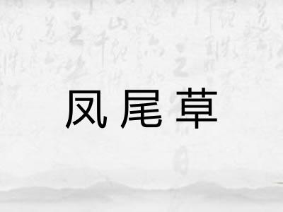 凤尾草