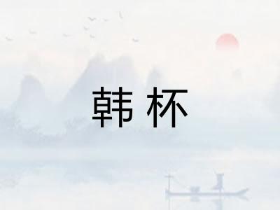 韩杯