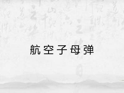 航空子母弹