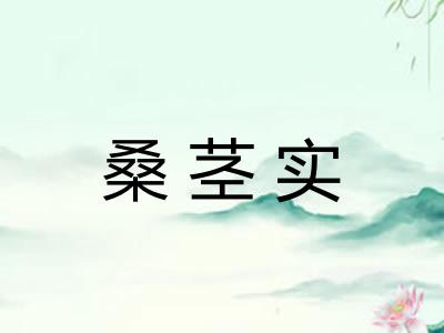 桑茎实