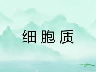 细胞质