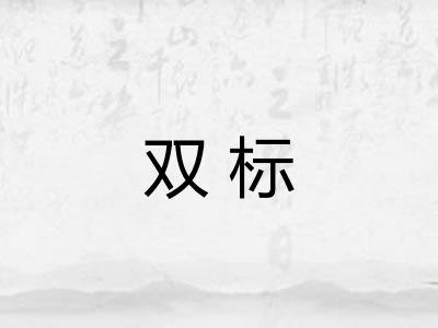 双标