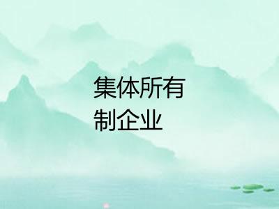 集体所有制企业
