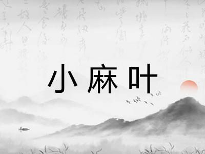小麻叶