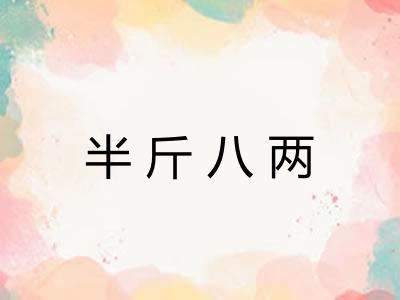 半斤八两