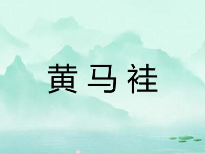 黄马袿