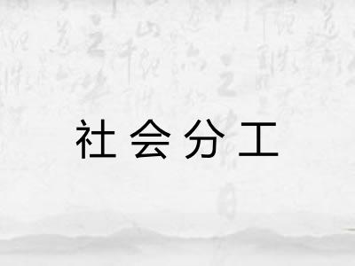 社会分工