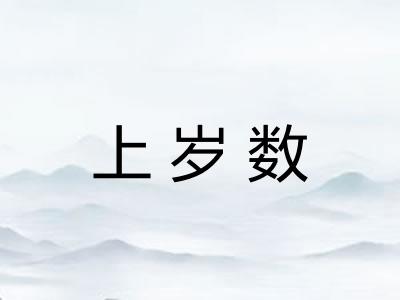 上岁数