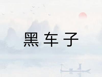 黑车子