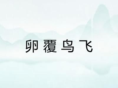 卵覆鸟飞