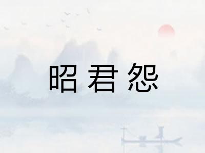 昭君怨