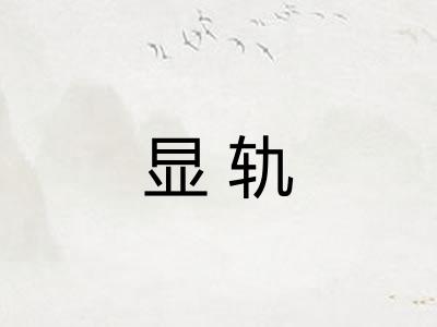 显轨