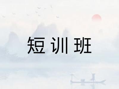 短训班