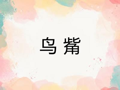 鸟觜