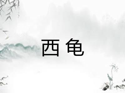 西龟
